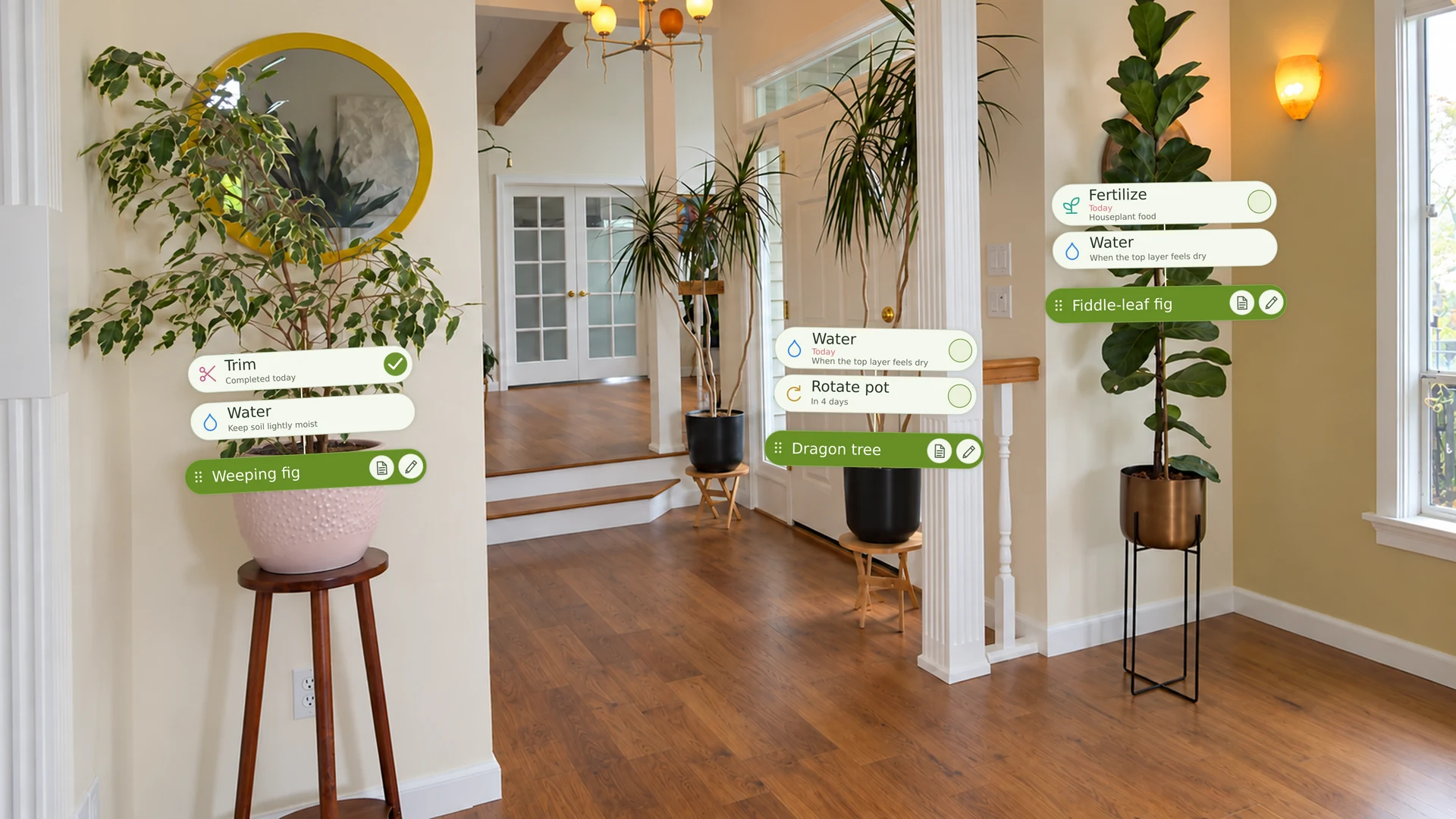 Plant Care XR reminders beside a weeping fig, dragon tree, and fiddle-leaf fig in a home.